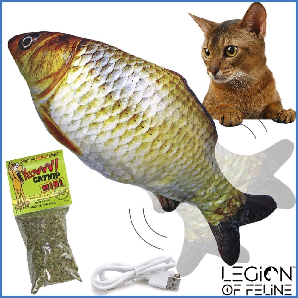 🐟 Legion of Feline Floppy Fish Cat Toy - Carp 🐠